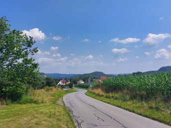 Blick auf Stadt Wehlen