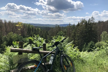 Aussicht Hinteres Kirnitzschtal