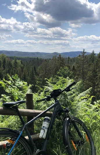 Aussicht Hinteres Kirnitzschtal