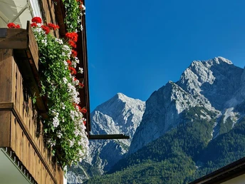 1 Balkon mit Bergblick