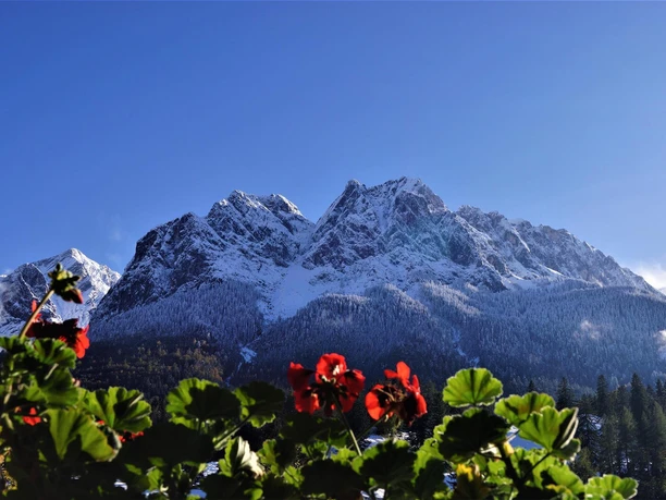 Waxenteine vom Südbalkon