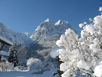 Garten im Winter- Waxensteine