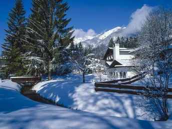 Alpenhof Winter Tag jpg