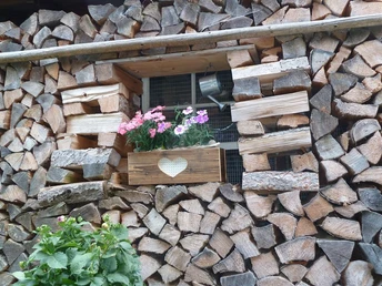 bilder peters auto 111