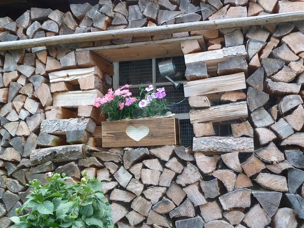 bilder peters auto 111