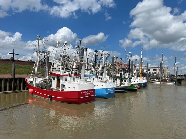 Hafen Ditzum