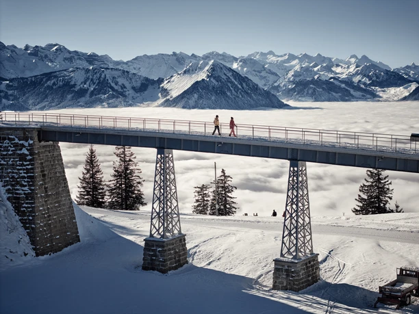 Winterwandern 2024 © Beat Brechbüh-16 (1) (2).png