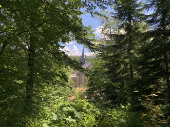 Blick auf Kloster Haina durch den Wald