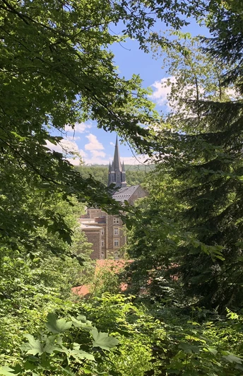 Blick auf Kloster Haina durch den Wald