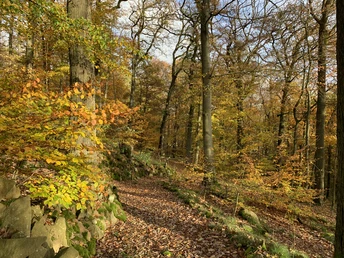 Stamford'scher Garten Haina