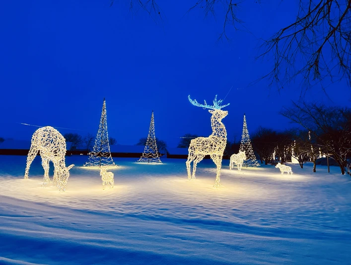 Lichtenau_Winterzauber im Sonnenlandpark_(c)Sonnenlandpark_CC0 (2).jpg