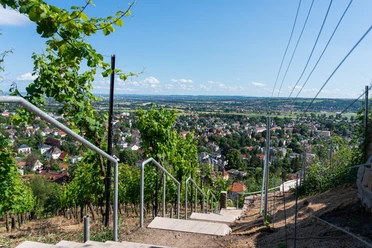 Blick auf Radebeul von der Friedensburg