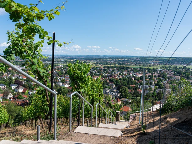 Blick auf Radebeul von der Friedensburg
