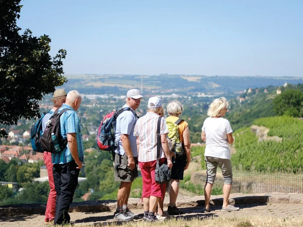 Weinwandern durch Radebeul Weinwandern durch Radebeul