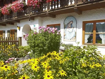 Blumenpracht im Sommer