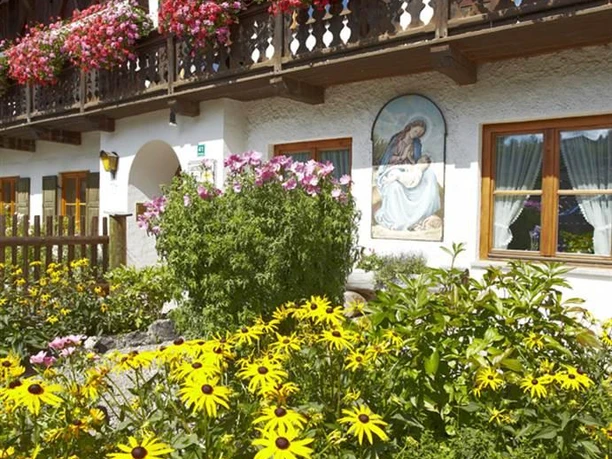 Blumenpracht im Sommer