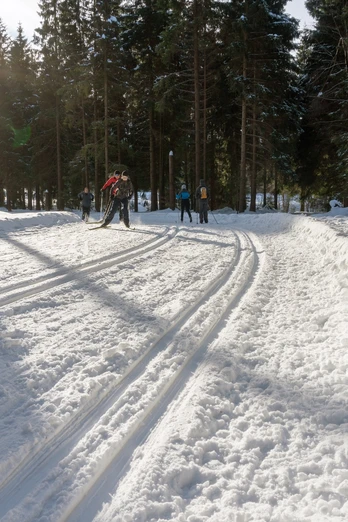 Loipen im Winter