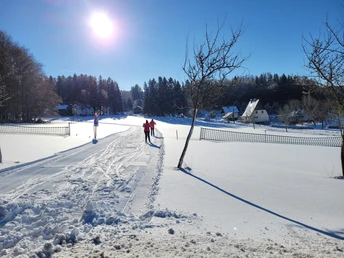 Ortsloipe Hammerbrücke bei bestem Sonnenschein