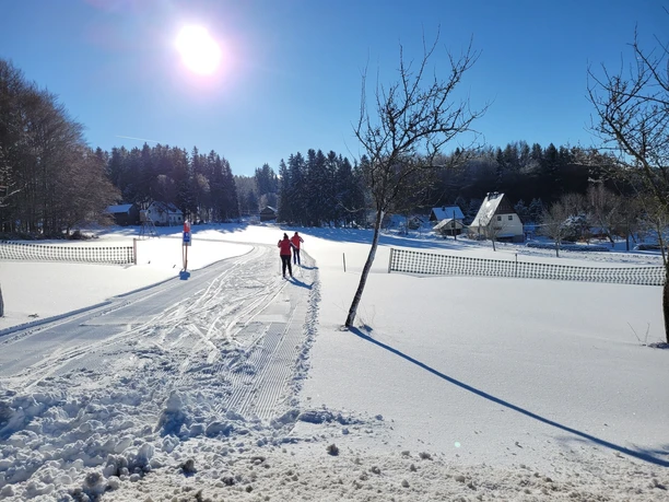 Ortsloipe Hammerbrücke bei bestem Sonnenschein
