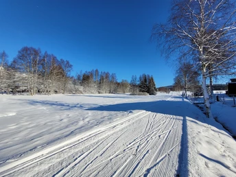 Ortsloipe Hammerbrücke am Parkplatz Mittelweg Ortsloipe Hammerbrücke am Parkplatz Mittelweg