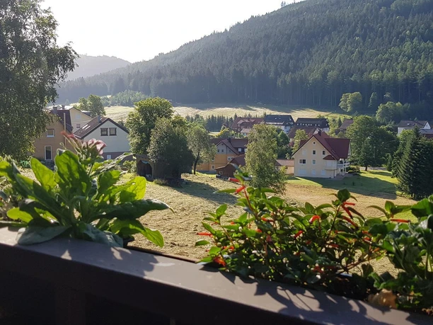 Obertal am Morgen....