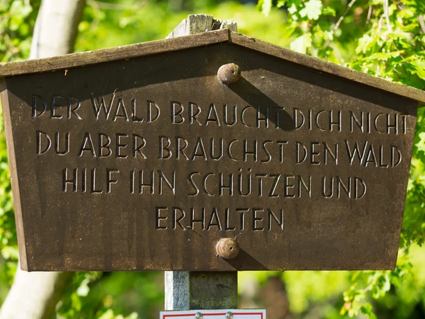 210531-StemwederBerg-FotoChristianSchwier-014.jpg Holzschild im Wald mit der Aufschrift: "Der Wald braucht dich nicht, du aber brauchst den Wald."