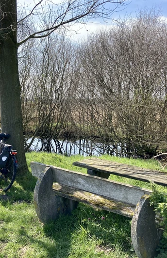Ein abgelegener Rastplatz im Oppenweher Moor mit einem Holztisch, einer Bank und zwei Fahrrädern.