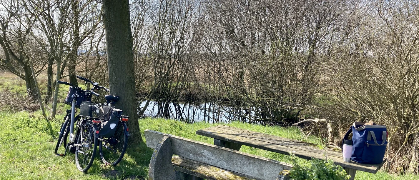 Oppenweher Moor Ein abgelegener Rastplatz im Oppenweher Moor mit einem Holztisch, einer Bank und zwei Fahrrädern.