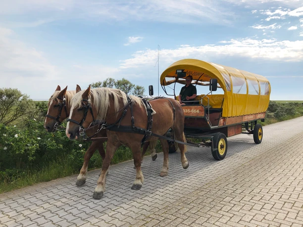 Pferdekutschen auf Juist Flugplatztransfer