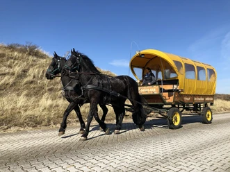 Pferdekutschen auf Juist Flugplatztransfer