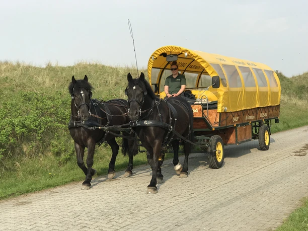 Pferdekutschen auf Juist Flugplatztransfer