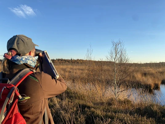 Vogelbeobachtungen im EU-Vogelschutzgebiet Bargerveen.JPEG