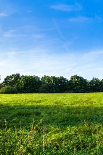 Niedermoor und Lehmgrube Niedermoor und Lehmgrube