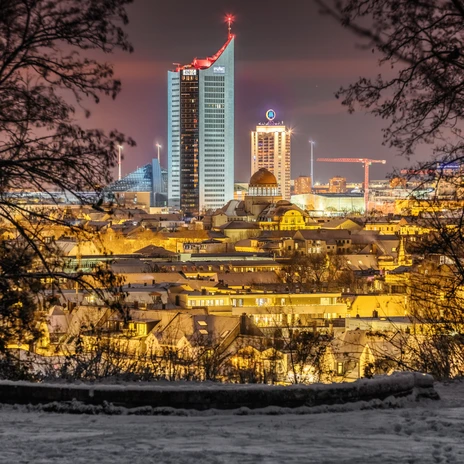 Vue depuis le Fockeberg sur la silhouette nocturne illuminée de Leipzig, encadrée par des arbres