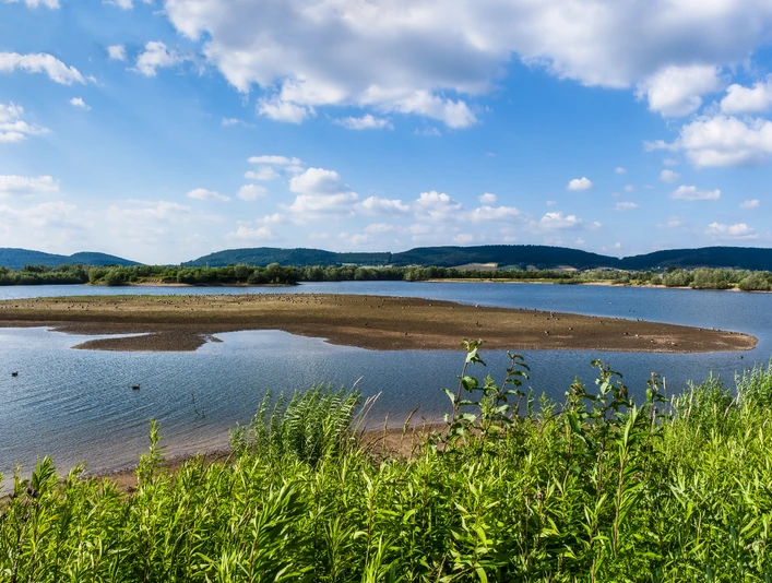 Auenlandschaft Hohenrode Auenlandschaft Hohenrode
