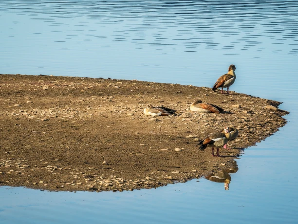 Auenlandschaft Hohenrode Auenlandschaft Hohenrode