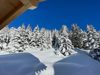 Chalet aussen Wald verschneit