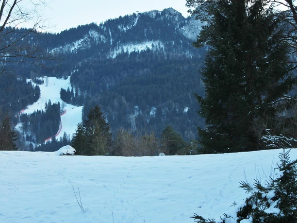 Blick zur Kandahar Skiabfahrt