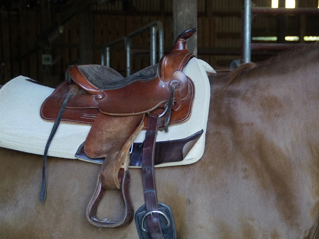 Pferdesattel - Quelle: Pixabay