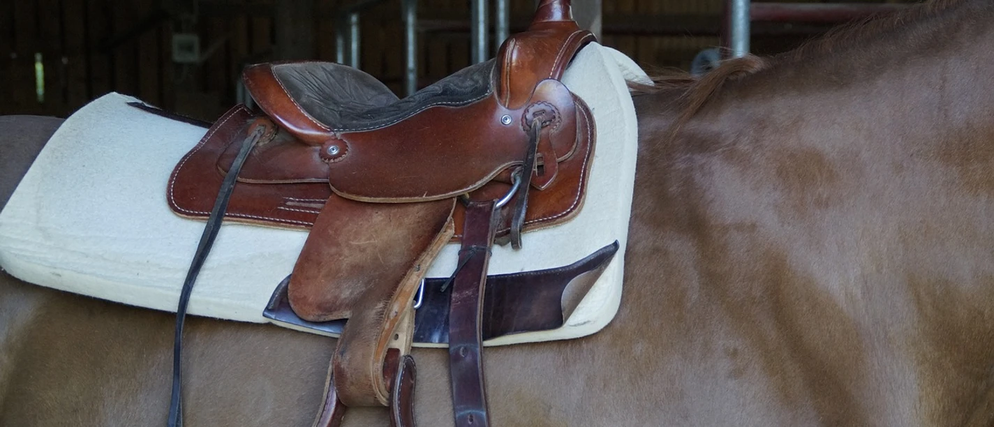 Pferdesattel - Quelle: Pixabay