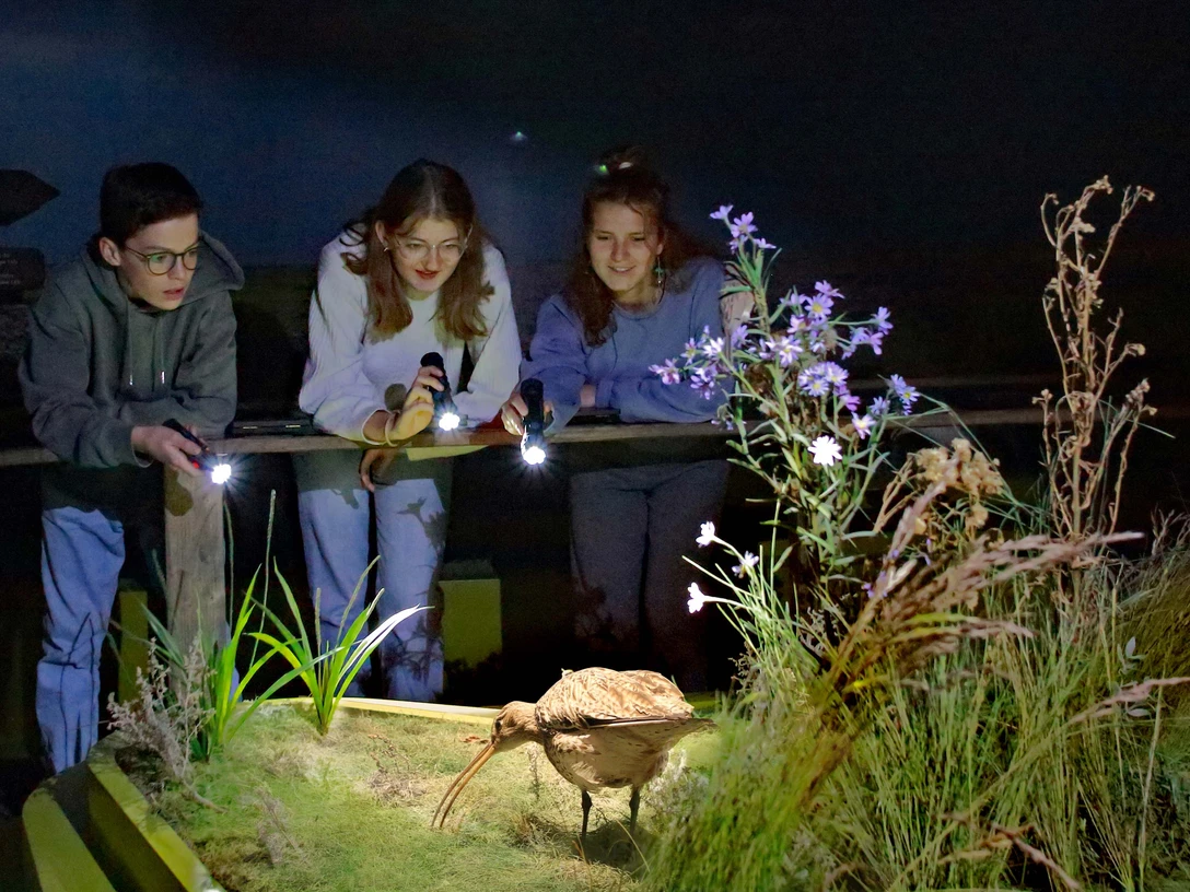 Führung Indoor Führung Indoor