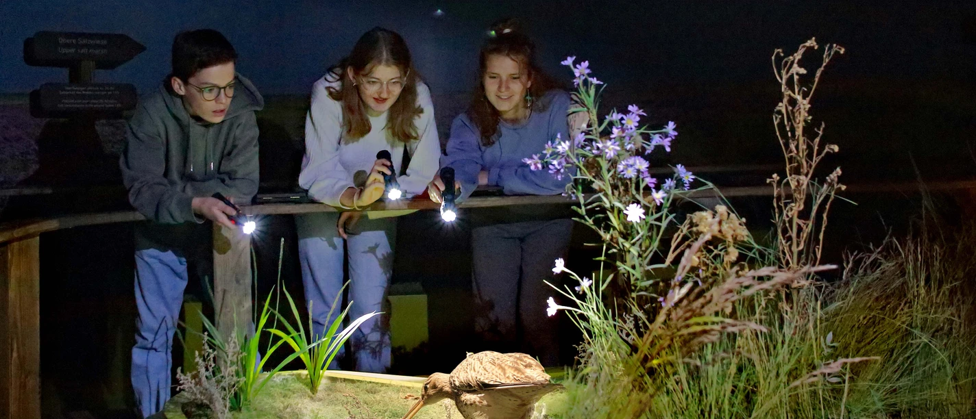 Führung Indoor Rondleiding binnen