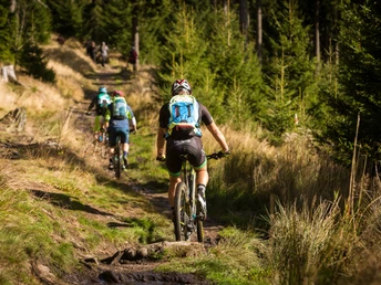 Mountainbiken im Erzgebirge