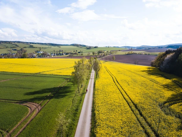 Panorama-Tour um Drebach