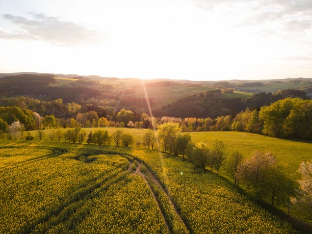 Heideberg in Drebach (2)
