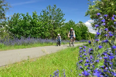 Radweg Falkenstein-Oelsnitz