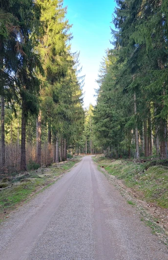 Wanderweg Grünheide barrierefrei