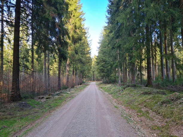 Wanderweg Grünheide barrierefrei