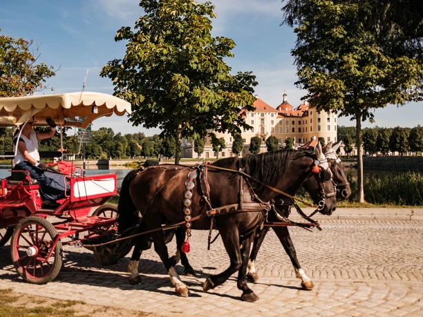 Kutsche vor dem Schloss Moritzburg