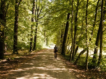 Naturnahe Radwege im Friedewald bei Moritzburg